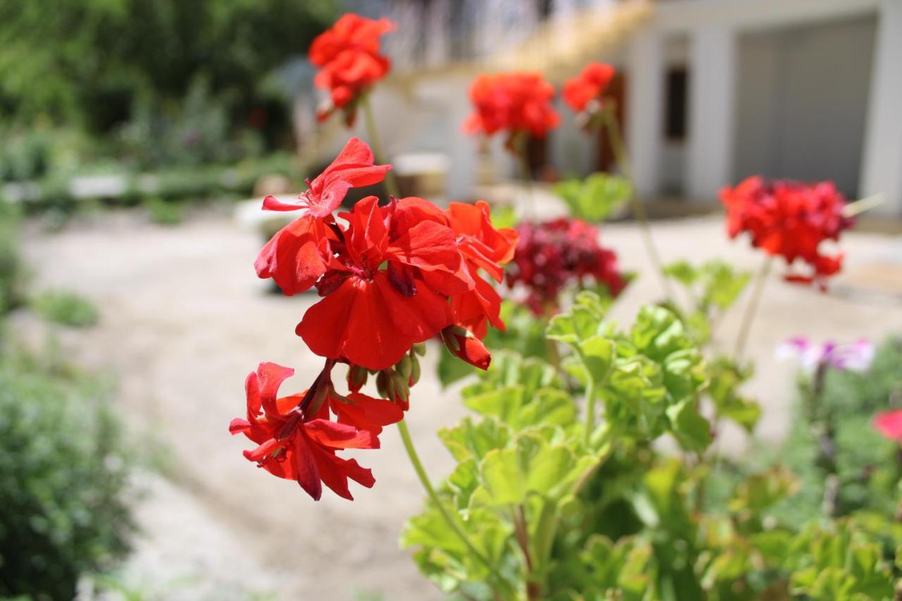 Sernang Homestay Hundar 외부 사진